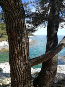 Settimana in Croazia