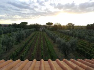 Azienda Agricola Chiappini