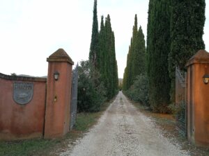 Azienda Agricola Chiappini