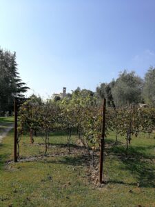 Valtenesi