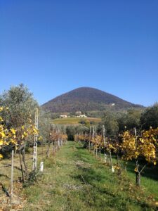 I Castagnucoli