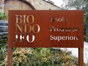 Biondo Jeo
