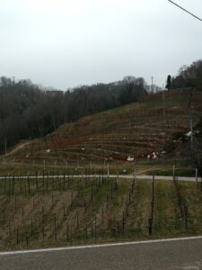 Biondo Jeo