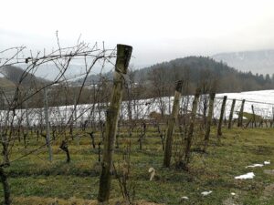 Pian delle Vette