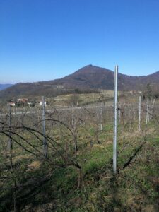 Monteforche