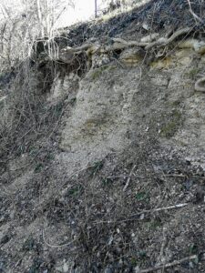Monteforche