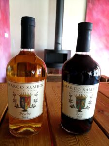 Marco Sambin