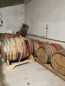 Vigne al Colle