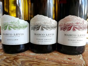 Marco Levis