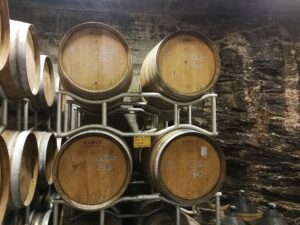 Vignale di Cecilia