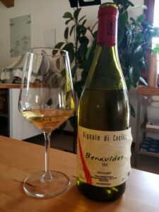 Vignale di Cecilia