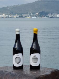 Enoz Wine