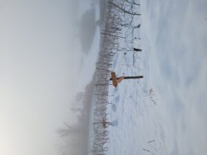 Vini de Martin