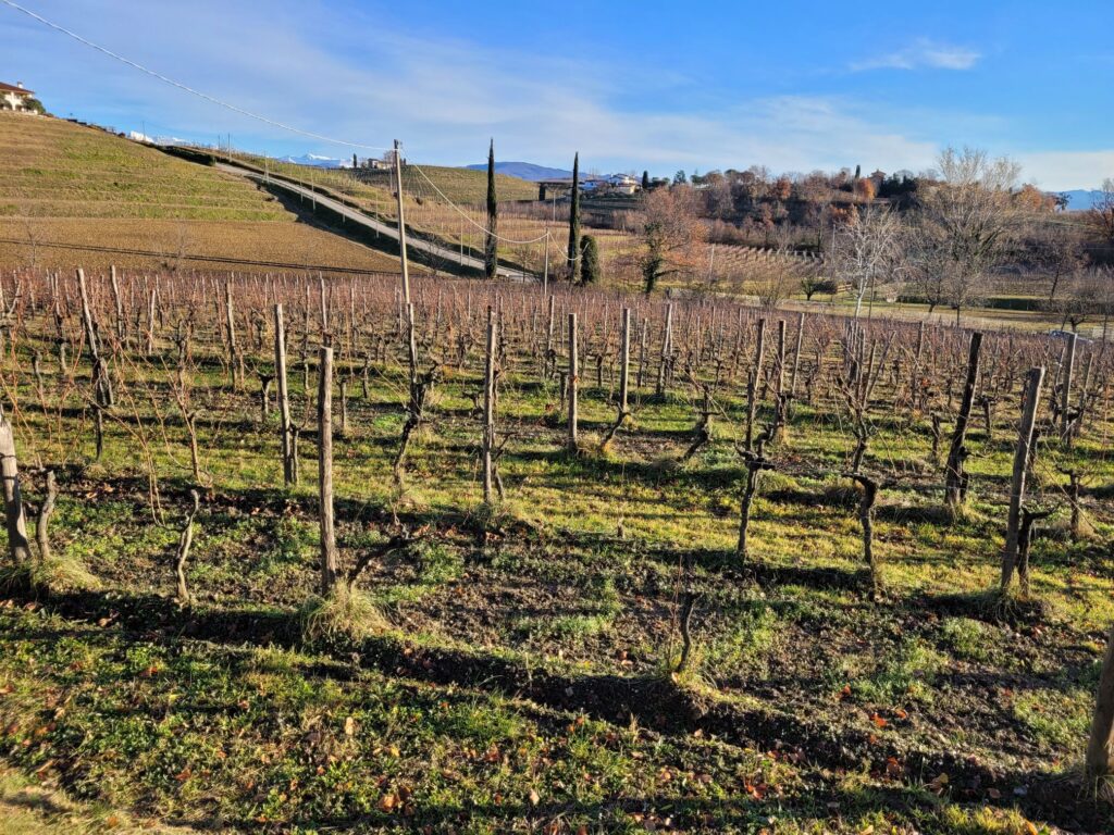 Ronco del Gnemiz