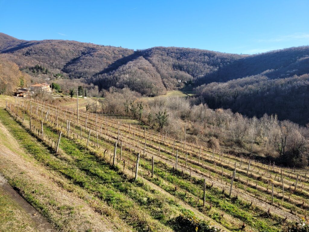 Ronchi di Cialla