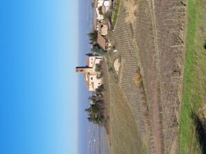La Casaia