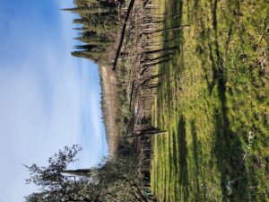 Antica Valpolicella