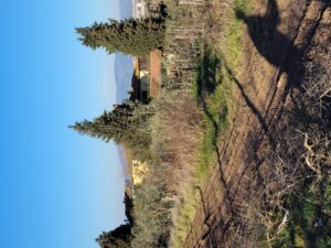 Podere Casaccia