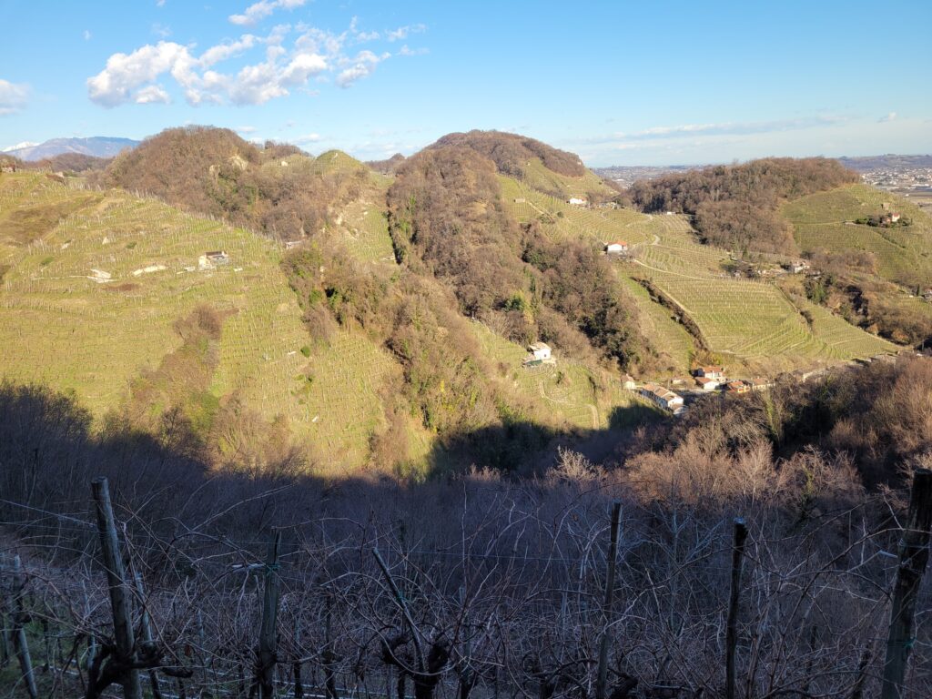 Malga Ribelle
