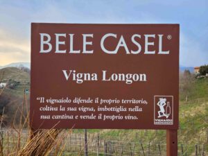 Bele Casel