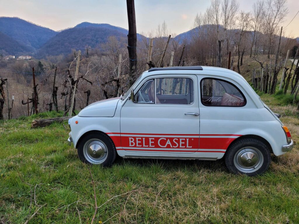 Bele Casel