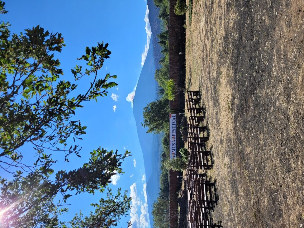 Cantine dell'Etna