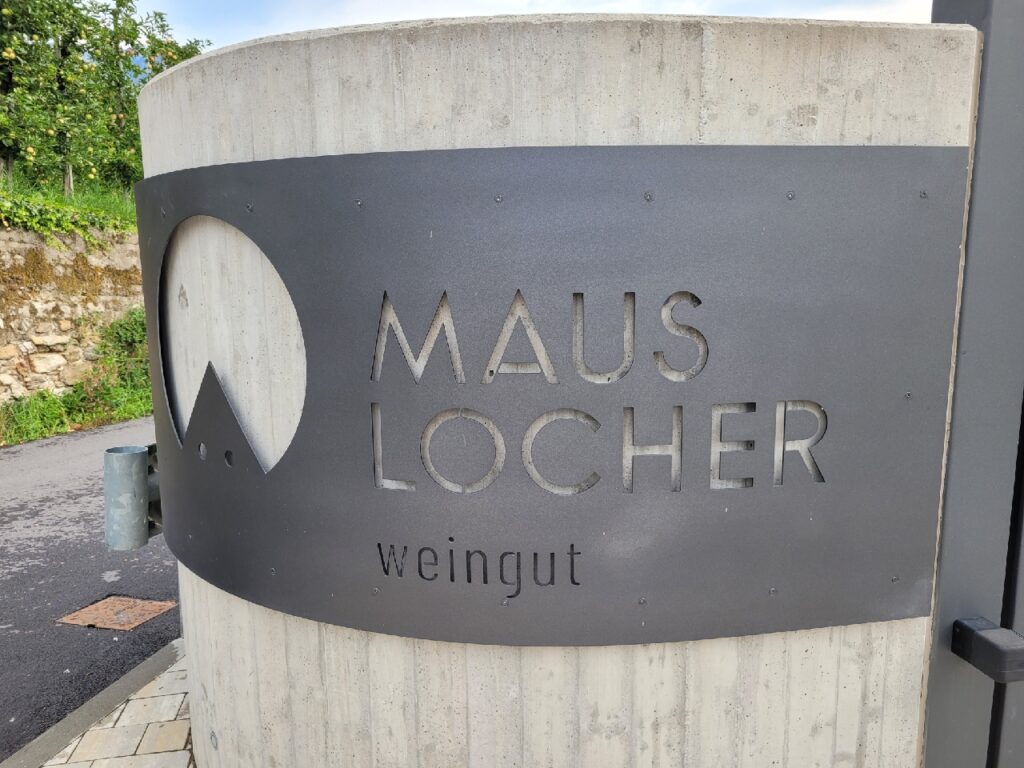 Mauslocher