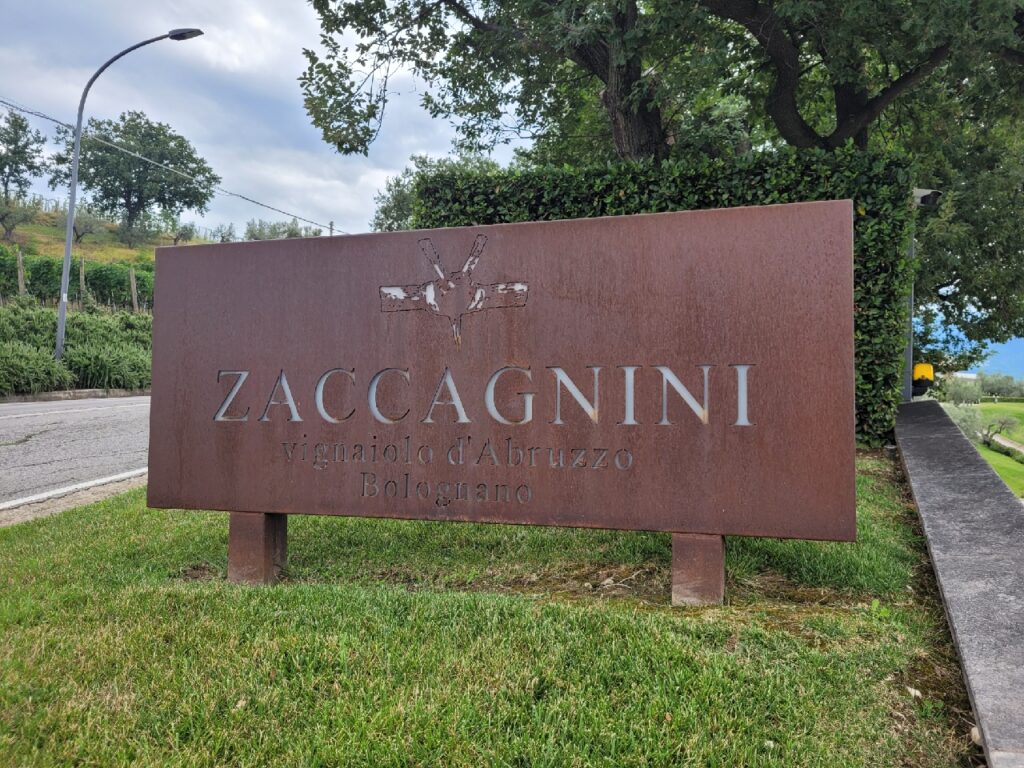 Zaccagnini