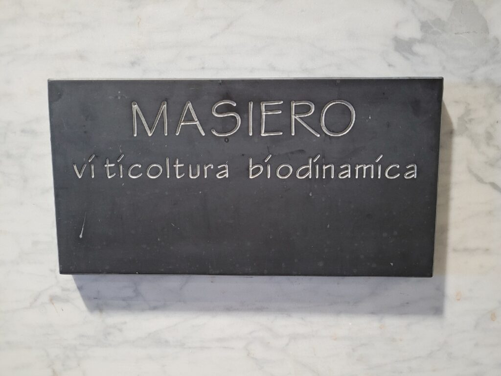 Masiero Verdugo