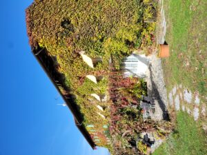 Maso di Villa