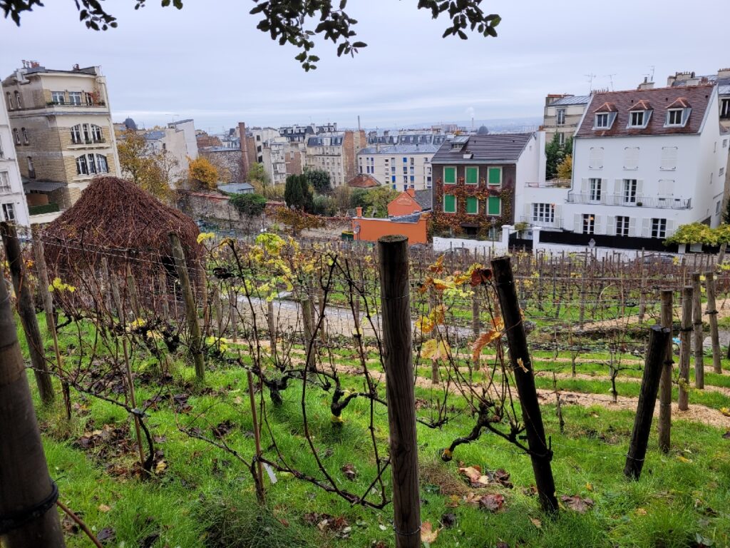 Clos Montmartre