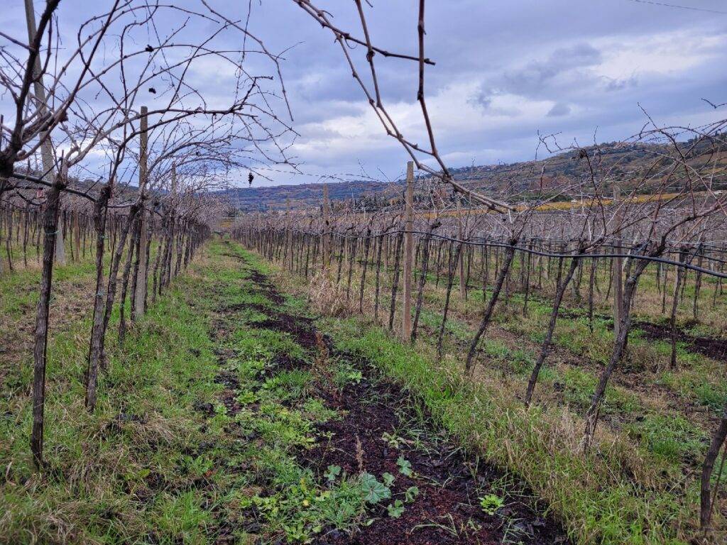 Terre di Pietra