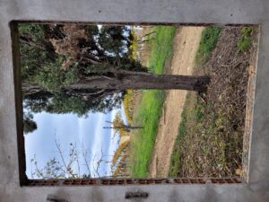 Il Roccolo di Monticelli