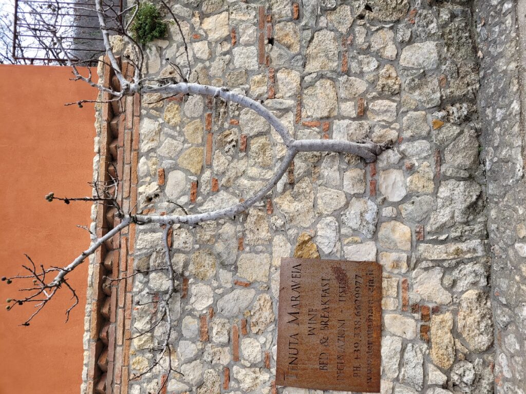 Tenuta Maraveja