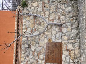 Tenuta Maraveja