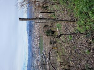 Tenuta Maraveja