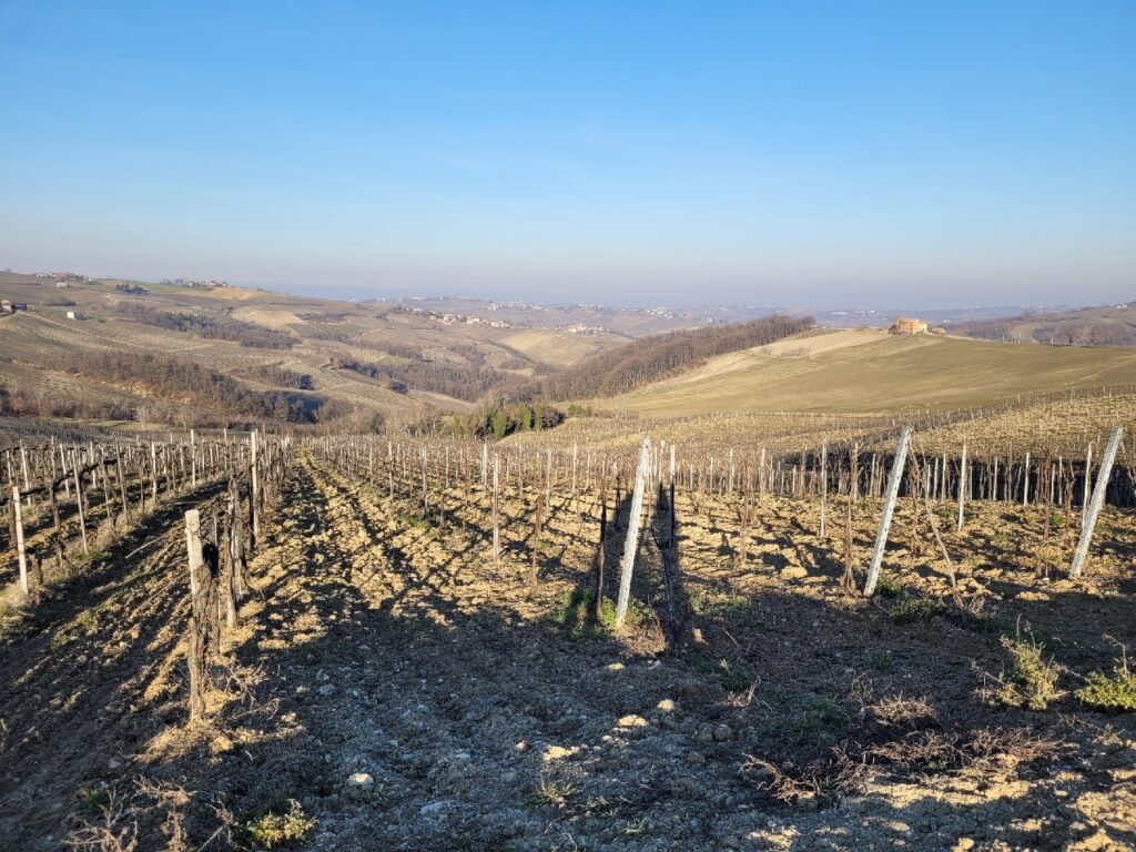 La Piotta