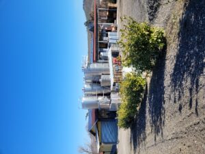 Manuelina