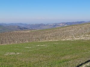 Le Fiole