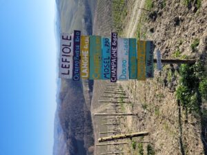 Le Fiole