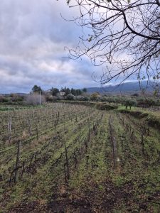 Borgo San Nicolao