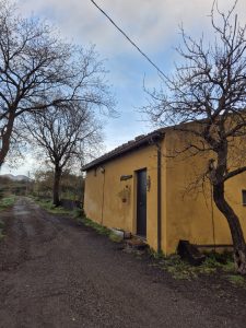 Borgo San Nicolao