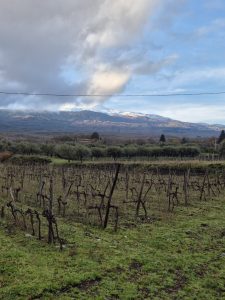 Borgo San Nicolao