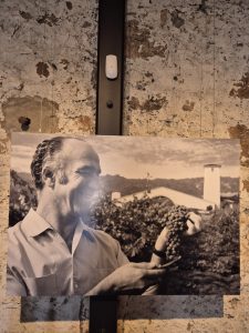 Robert Mondavi