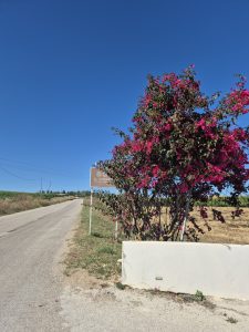 Il Vigneto Resort