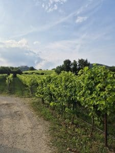 Progress Country and Wine House