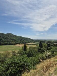 Colli Euganei