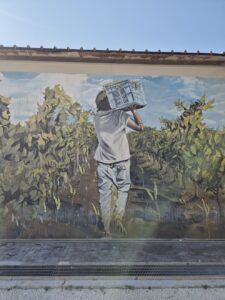 Barone Sergio