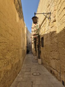 Viaggio a Malta