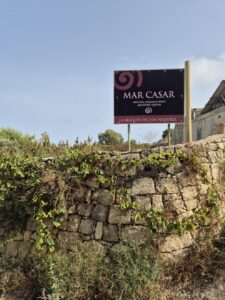 Mar Casar